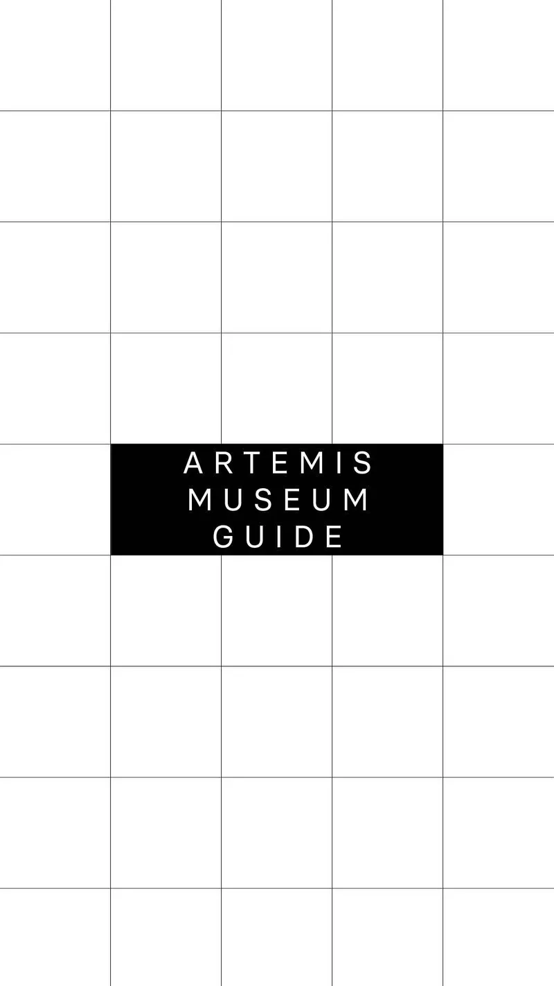 Amsterdam museum guide 1 tiktok artemis